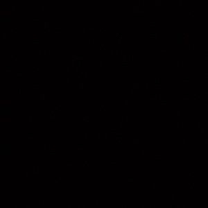 Meet your Posher, Kerry